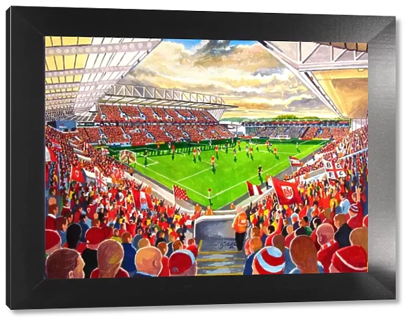 Ashton Gate Stadium Fine Art - Bristol City Football Club