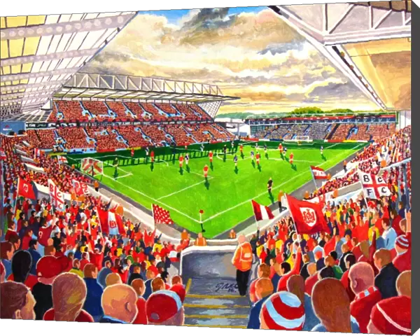 Ashton Gate Stadium Fine Art - Bristol City Football Club