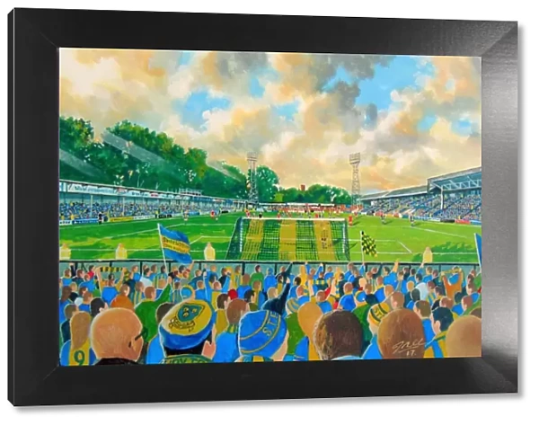 Gay Meadow Stadium Fine Art - Shrewsbury Town Football Club