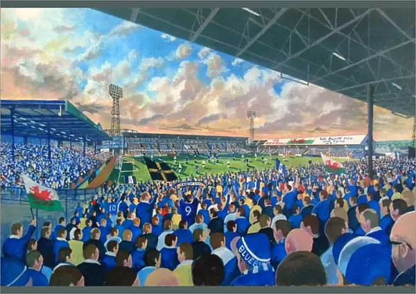 Ninian Park Stadium Fine Art - Cardiff City Football Club