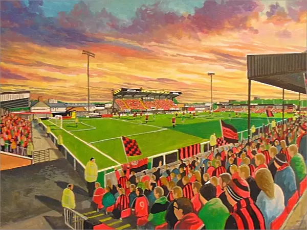Seaview Stadium Fine Art - Crusaders Football Club