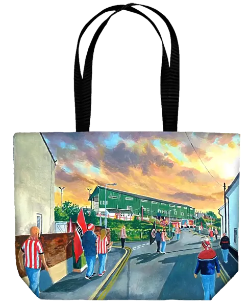 St James Park Stadium Fine Art Going to the Match - Exeter City