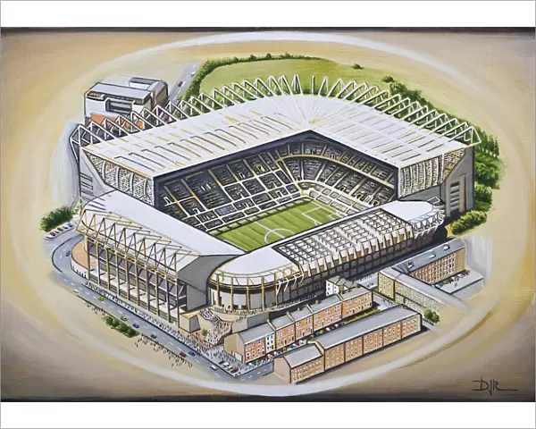 St James Park Stadia Art - Newcastle United