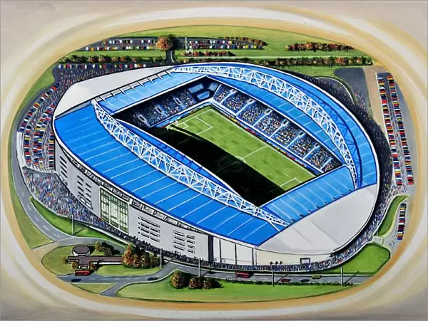 The Amex Stadia Art - Brighton & Hove Albion F. C