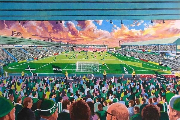 Home Park Stadium Fine Art - Plymouth Argyle Football Club