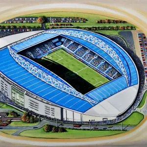 The Amex Stadia Art - Brighton & Hove Albion F. C