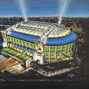 Amsterdam Arena Stadia Art - Ajax