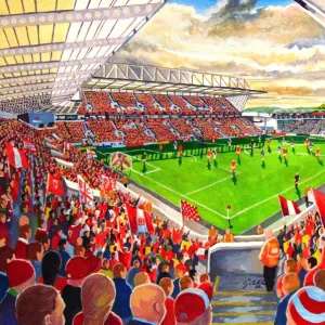 Ashton Gate Stadium Fine Art - Bristol City Football Club