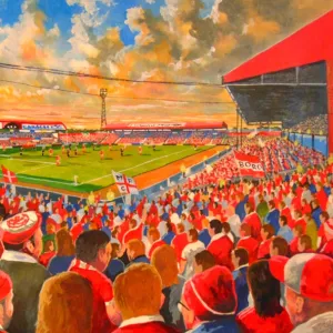 Ayresome Park Stadium Fine Art - Middlesbrough Football Club