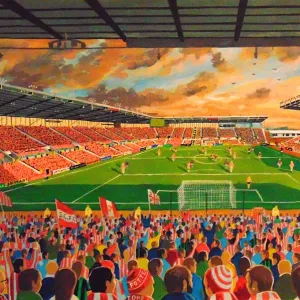 bet365 Stadium Fine Art - Stoke City Football Club