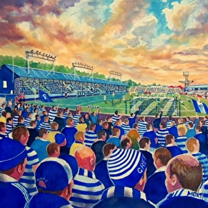 Cappielow Park Stadium Fine Art - Greenock Morton Football Club