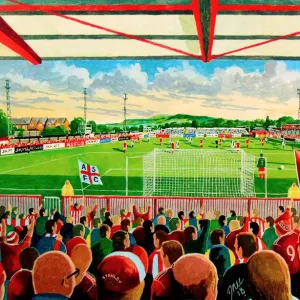 The Crown Stadium Fine Art - Accrington Stanley Football Club