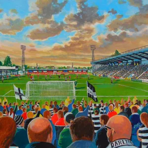 Feethams Stadium Fine Art - Darlington Football Club