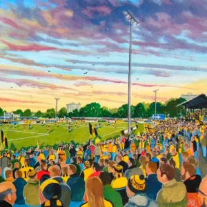 GANDER GREEN LANE STADIUM Fine Art - Sutton United Football Club