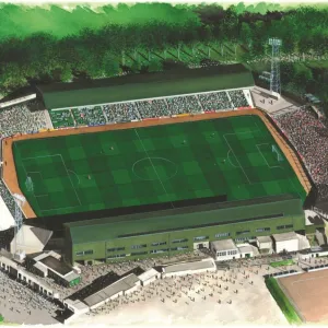 Home Park Art - Plymouth Argyle