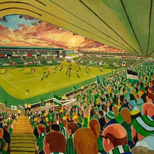 Home Park Fine Art NEW version - Plymouth Argyle Football Club