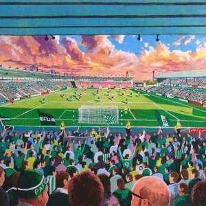 Home Park Stadium Print - A detailed depiction of Plymouth Argyle's football ground Home Park Stadium Print - A detailed depiction of Plymouth Argyle's football ground