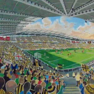 KCOM Stadium Fine Art - Hull City Football Club