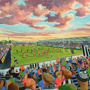 Print of Kingston Park Stadium, Newcastle Falcons home Print of Kingston Park Stadium, Newcastle Falcons home
