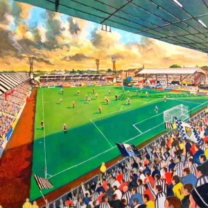 Love Street Stadium Fine Art Print Love Street Stadium Fine Art Print