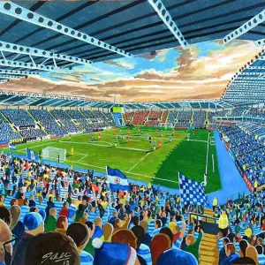 Madejski Stadium Print - A 24,161-capacity all-seater stadium in Reading Madejski Stadium Print - A 24,161-capacity all-seater stadium in Reading