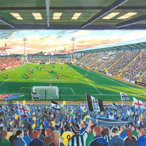 Meadow Lane Stadium Fine Art - Notts County Football Club