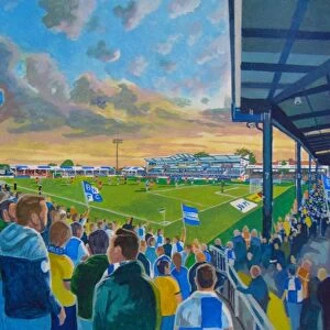 Memorial Ground Stadium Fine Art - Bristol Rovers Football Club
