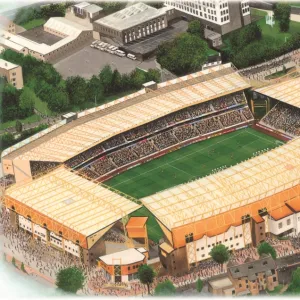 Molineux Art - Wolverhampton Wanderers