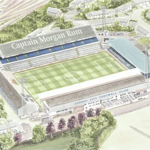 Ninian Park Stadium Print - A 1910 Football Ground in Cardiff, Wales Ninian Park Stadium Print - A 1910 Football Ground in Cardiff, Wales