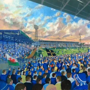 Ninian Park Stadium Fine Art - Cardiff City Football Club