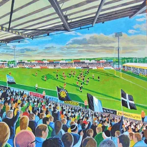 SANDY PARK STADIUM FINE ART - Exeter Chiefs Rugby Union