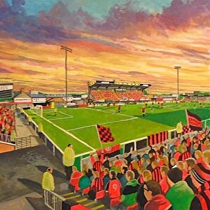 Seaview Stadium Fine Art - Crusaders Football Club