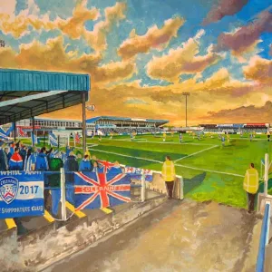 The Showgrounds Stadium Fine Art - Coleraine Football Club