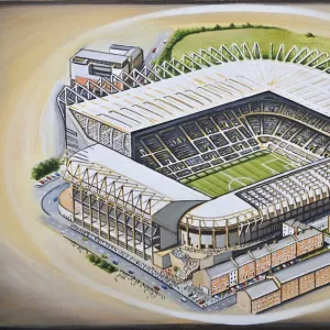 St James Park Stadia Art - Newcastle United