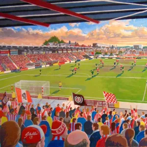 St James Park Stadium Fine Art - Exeter City Football Club