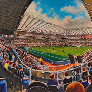 St James Park Stadium Fine Art - Newcastle United Football Club