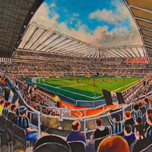 St James Park Stadium Fine Art - Newcastle United Football Club