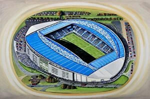 Football Gallery: The Amex Stadia Art - Brighton & Hove Albion F.C