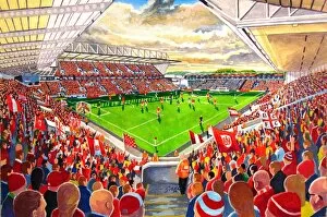 Soccer Gallery: Ashton Gate Stadium Fine Art - Bristol City Football Club
