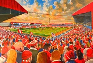 Stadia of Yesteryear Collection: Ayresome Park Stadium Fine Art - Middlesbrough Football Club