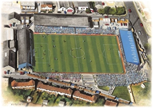 Samsung Collection: Goldstone Ground Art - Brighton & Hove Albion