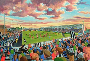 Rugby Union Prints: KINGSTON PARK STADIUM - Newcastle Falcons Rugby Union